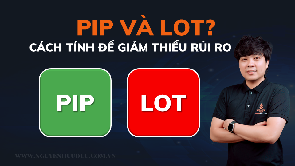 1 Lot Bằng Bao Nhiêu Pip? Gallery 2