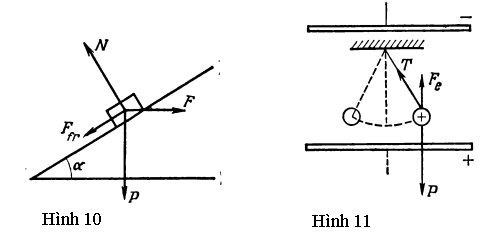 Lực tác dụng lên vật là gì? Gallery 1