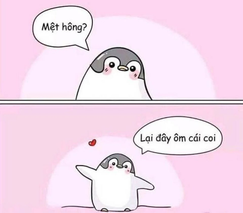 Meme An Ủi Bạn: Những Hình Ảnh, Video Giúp Bạn Vui Lên Ngay Lập Tức Gallery 2
