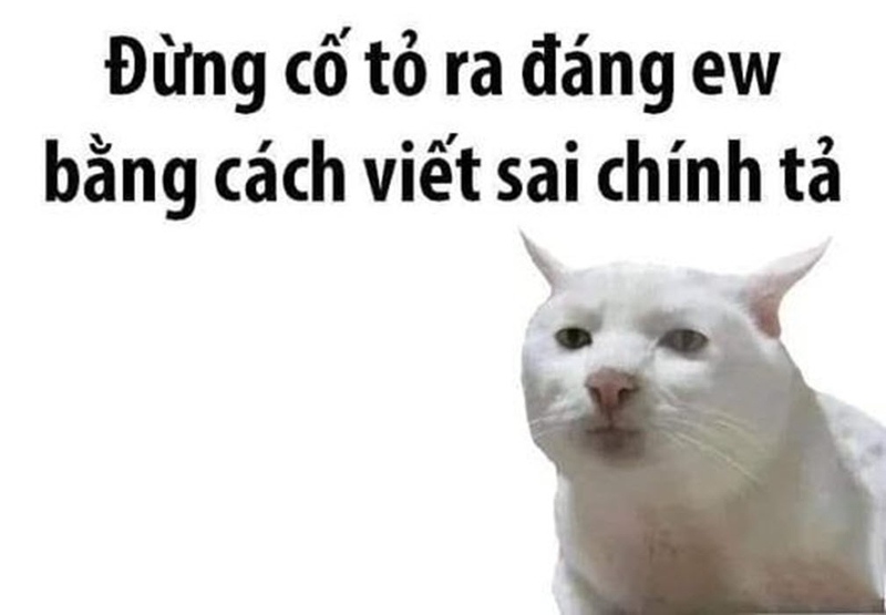 Meme Chính Tả: Giải Mã Những Lỗi Ngộ Nghĩnh Gallery 1