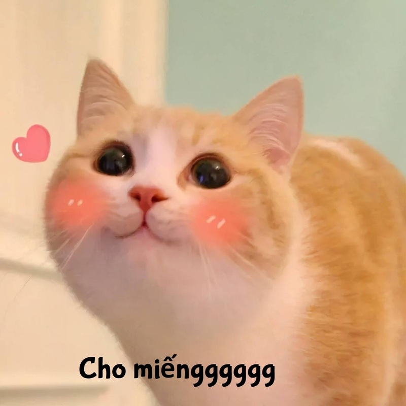 Hình Meme Cute Đáng Yêu Làm Tan Chảy Trái Tim Bạn Gallery 2