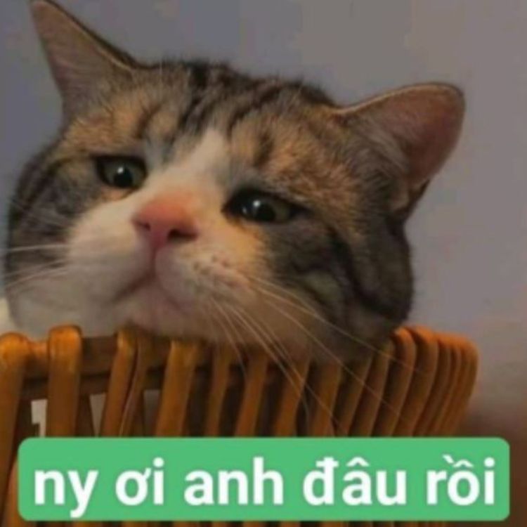Meme Gửi Người Yêu: Tổng Hợp Những Meme Hài Hước, Lãng Mạn Nhất Gallery 1