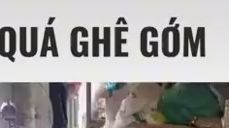 Meme Quá Ghê Gớm: Tổng Hợp Những Meme "Nhức Não" Nhất Gallery 1