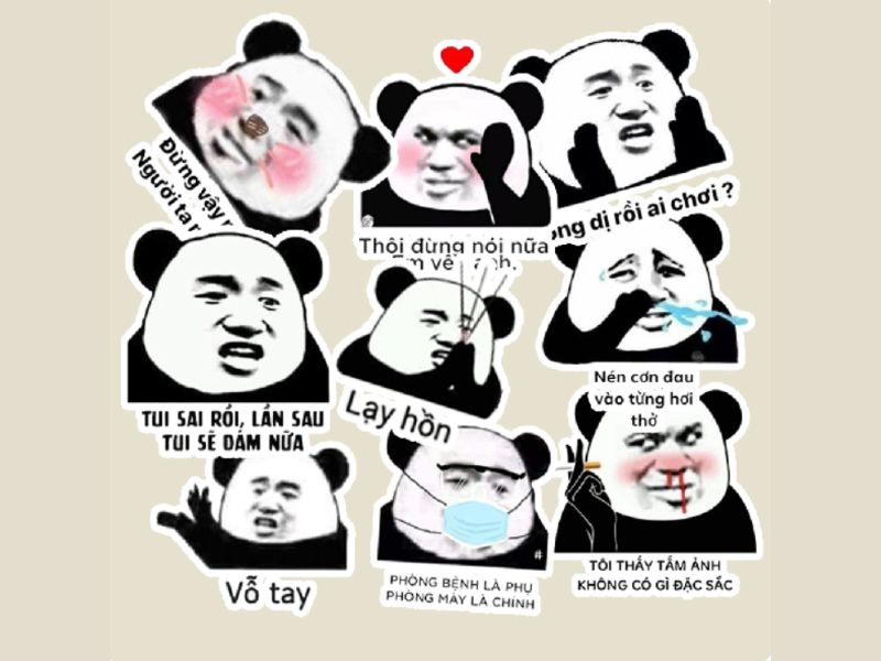 Meme Tu Là Gì? Gallery 2