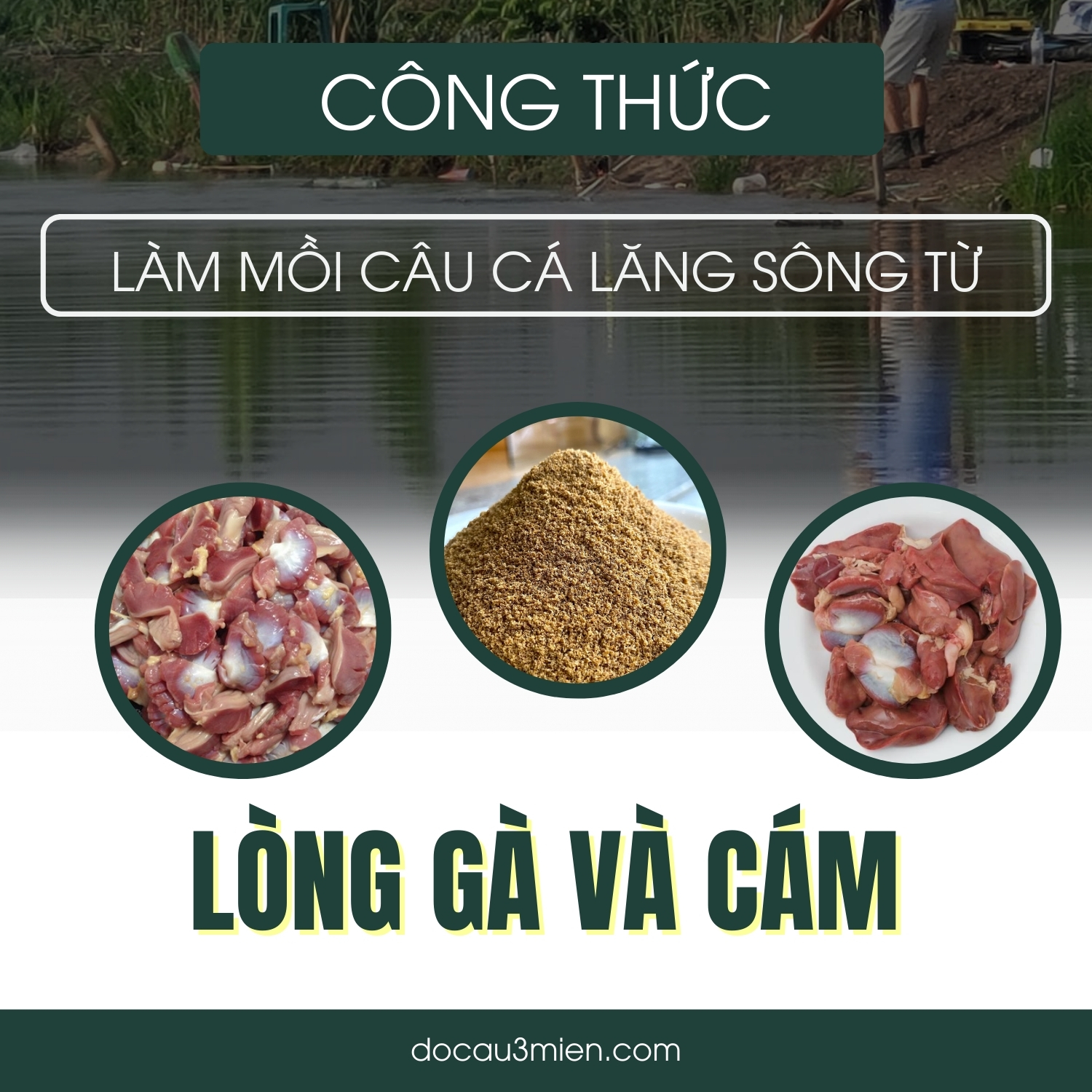 Mồi Câu Cá Lăng Sông Hiệu Quả Nhất Gallery 1