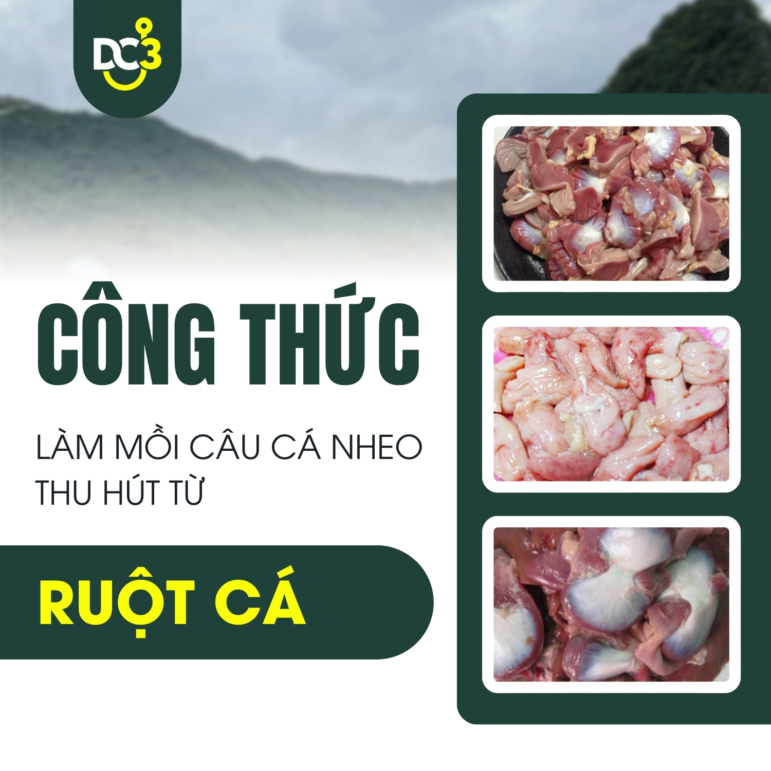Mồi câu cá nheo hiệu quả nhất Gallery 1