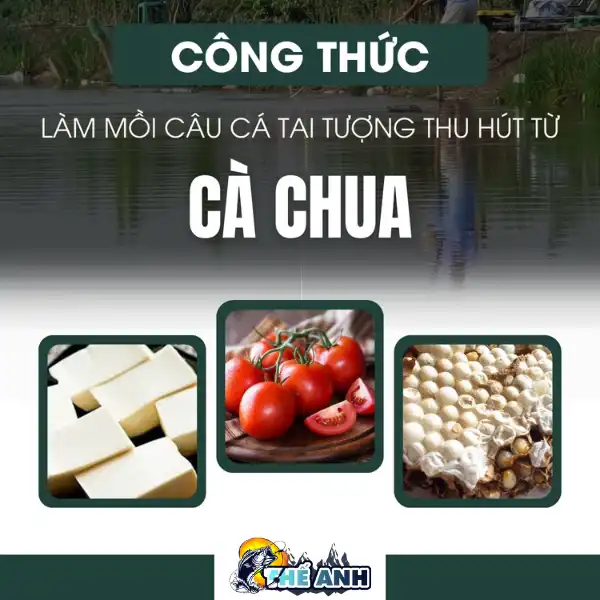 Mồi Câu Cá Tai Tượng Hiệu Quả Nhất Gallery 1