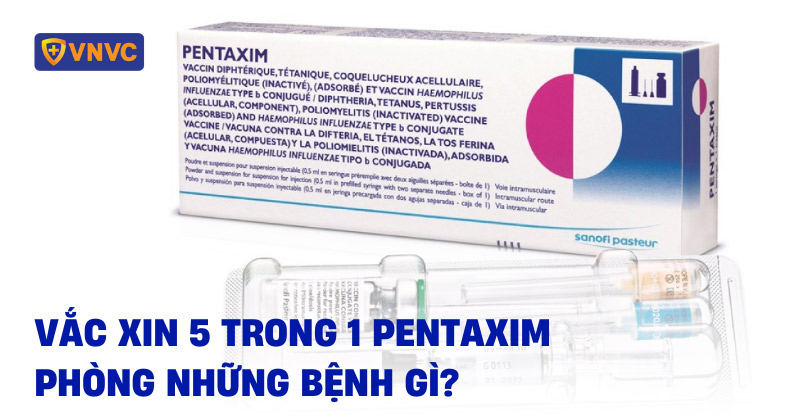 Mũ 5 trong 1 gồm những loại nào? Gallery 1