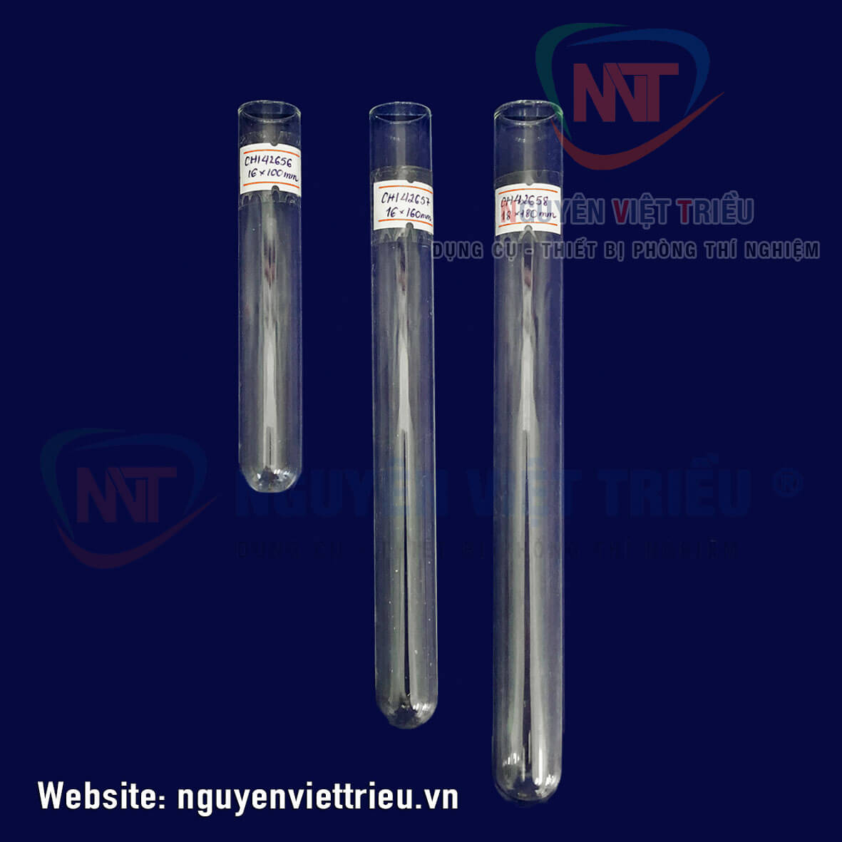 Ống Nghiệm Thủy Tinh: Ứng Dụng, Loại Và Cách Sử Dụng Gallery 2