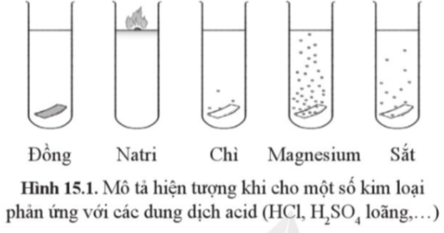 Kim loại + Axit ra gì? Gallery 1