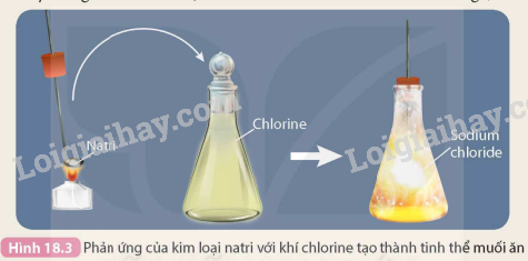 Kim loại tác dụng với phi kim Gallery 1