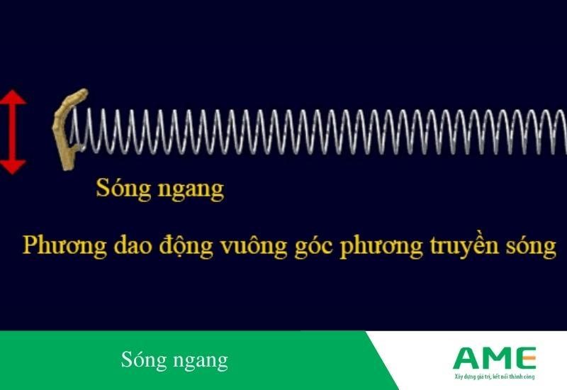 Phương Truyền Sóng Là Gì? Gallery 1