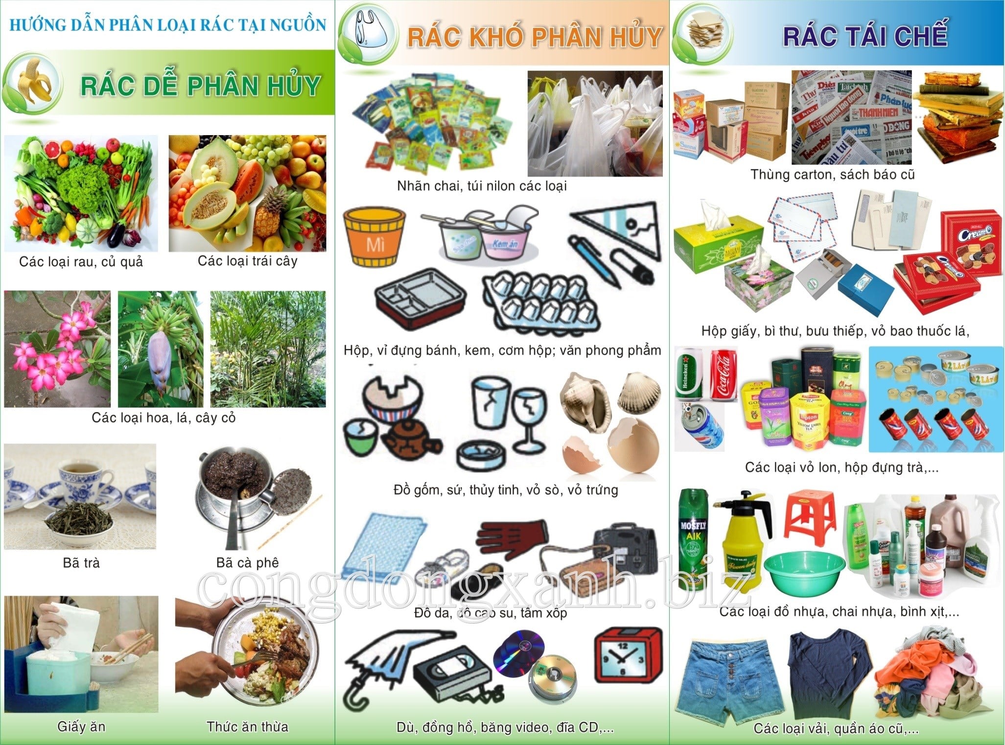 Các Loại Rác Thải Phổ Biến và Cách Phân Loại
