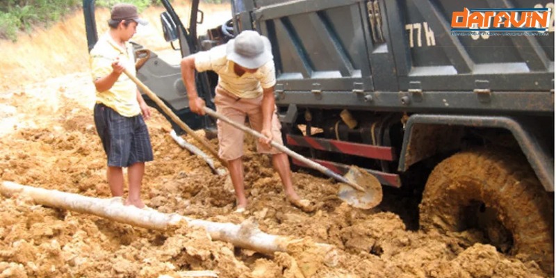 Sa lầy là gì? Gallery 2