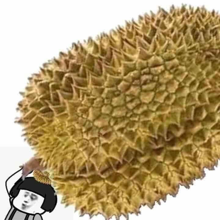 Sầu Meme Là Gì? Hình Ảnh, Video Và Nguồn Gốc Của Meme Buồn Gallery 2