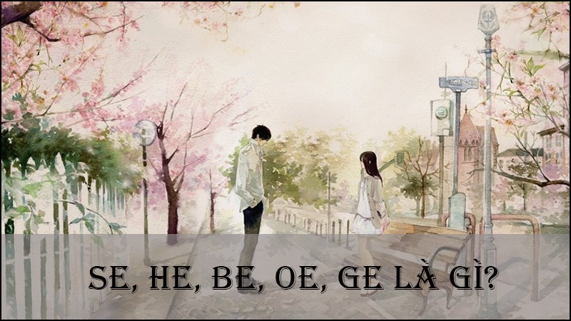 SE trong truyện là gì? Gallery 1