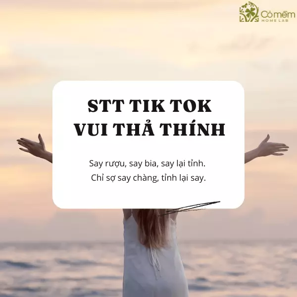 STT TikTok Chất Ngắn: Tuyển Tập Captivating Captions Gallery 1