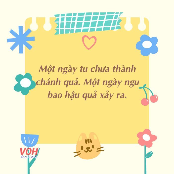 STT Xéo Sắc: Tuyển Tập Những Câu Nói Hay, Châm Biếm, Hài Hước Gallery 1