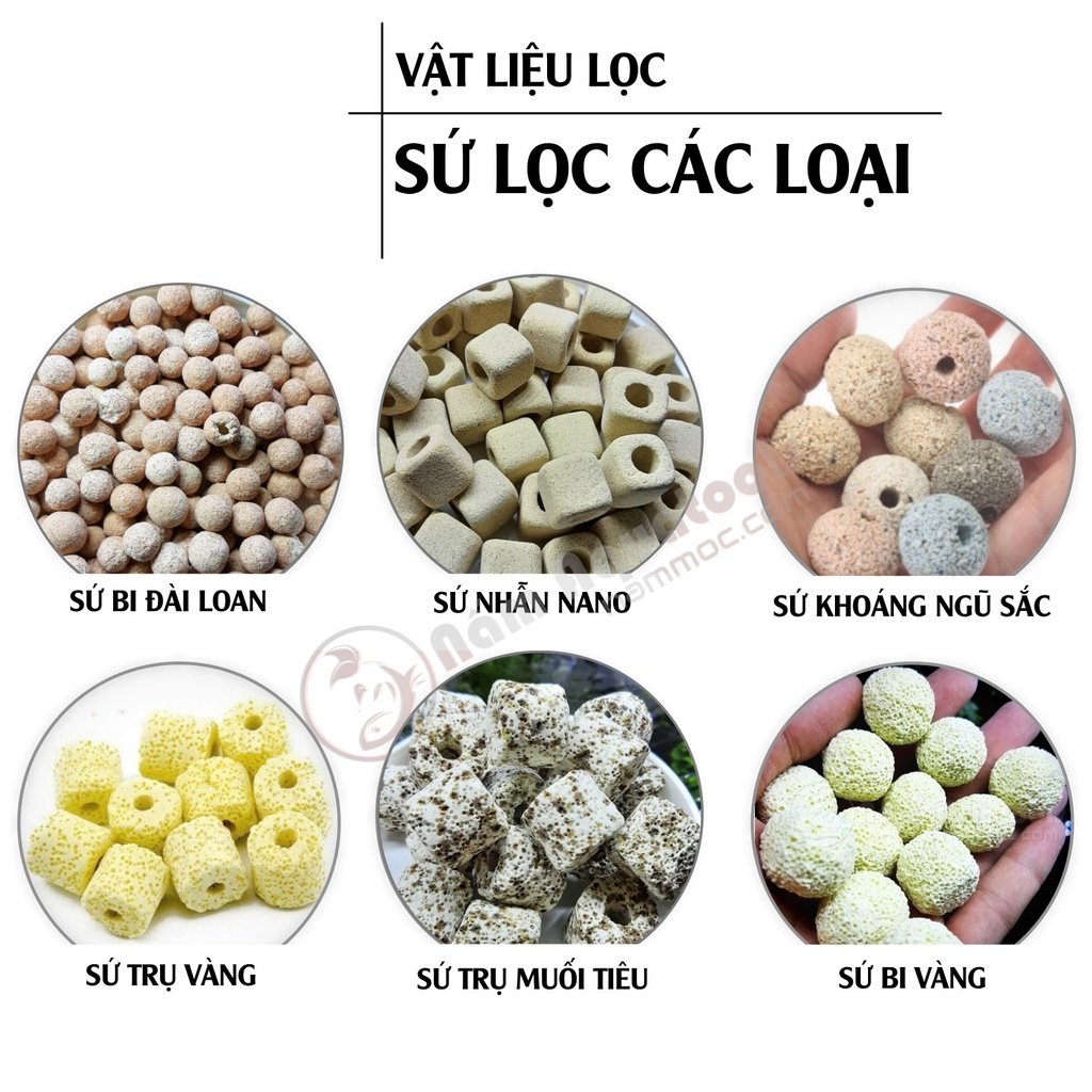 Sứ Lọc Bể Cá: Hướng Dẫn Chọn và Sử Dụng Gallery 2