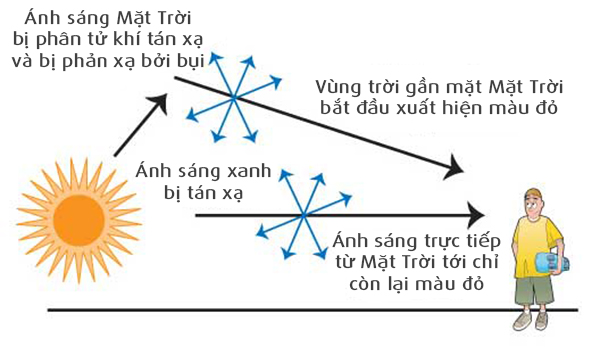 Ánh sáng tán xạ là gì? Gallery 1