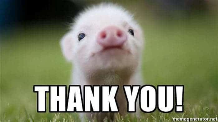 Thank You Cute Meme: Bộ Sưu Tập Meme Cảm Ơn Dễ Thương Nhất Gallery 2