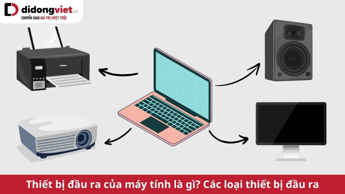 Thiết bị nào là thiết bị ra của máy tính? Gallery 1