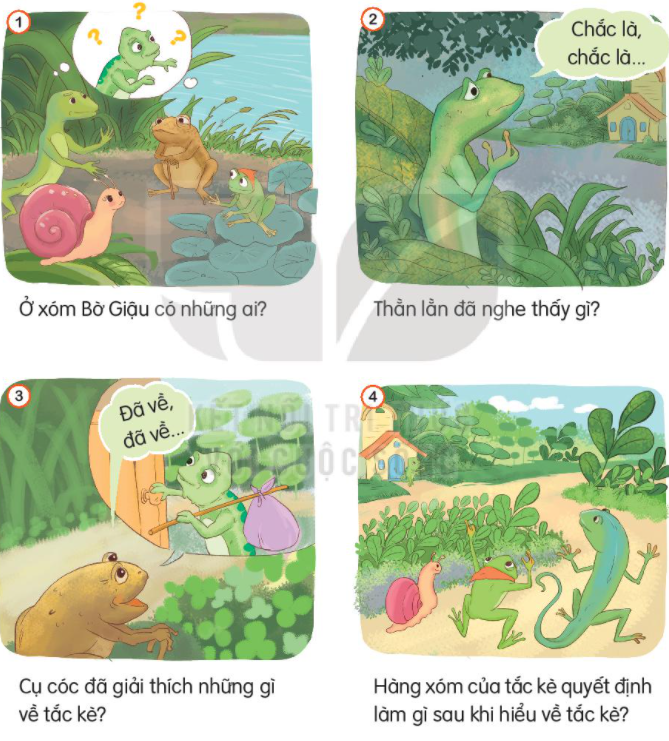 Hàng xóm của tắc kè là gì? Gallery 1