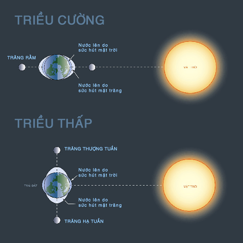Thủy Triều Là Gì? Gallery 2