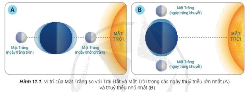 Thủy triều là hiện tượng gì? Gallery 2