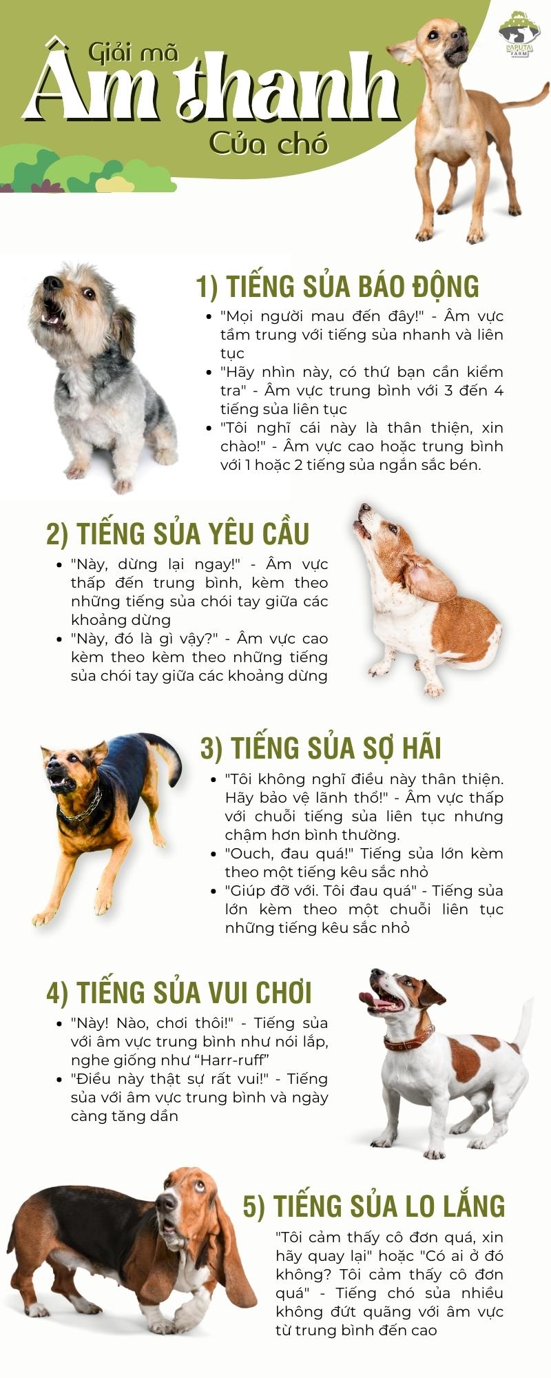 Tiếng Chó Becgie Sủa: Giải Mã Ngôn Ngữ Của Chú Chó Trung Thành Gallery 1