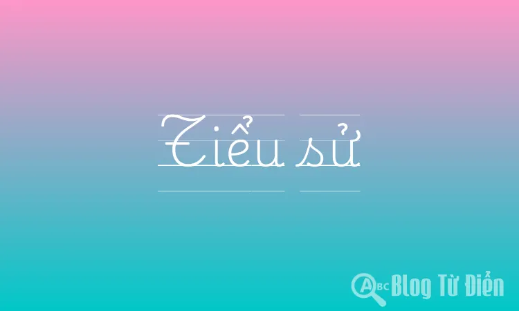 Tiểu sử là gì? Gallery 1