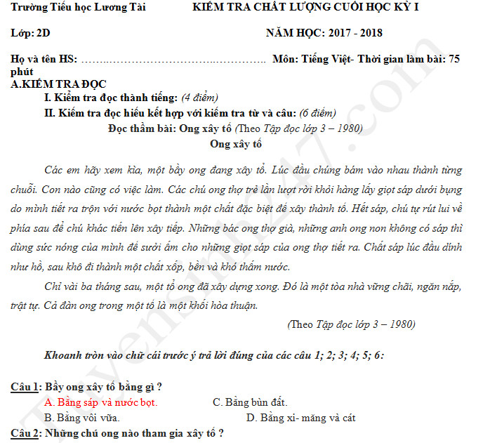 Ong xây tổ như thế nào? Bài đọc hiểu lớp 3 Gallery 2