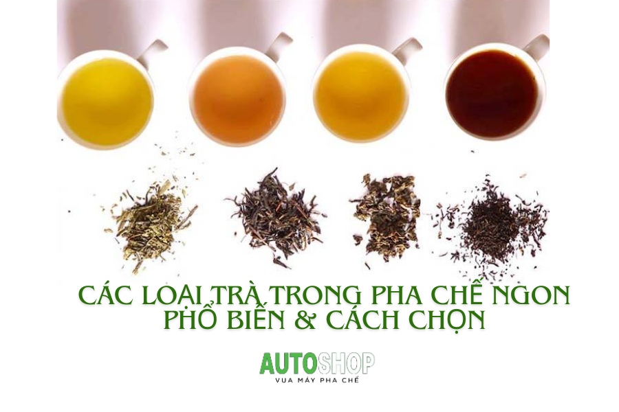 Trà Trộn: Bí Quyết Pha Chế Thức Uống Độc Đáo Gallery 1