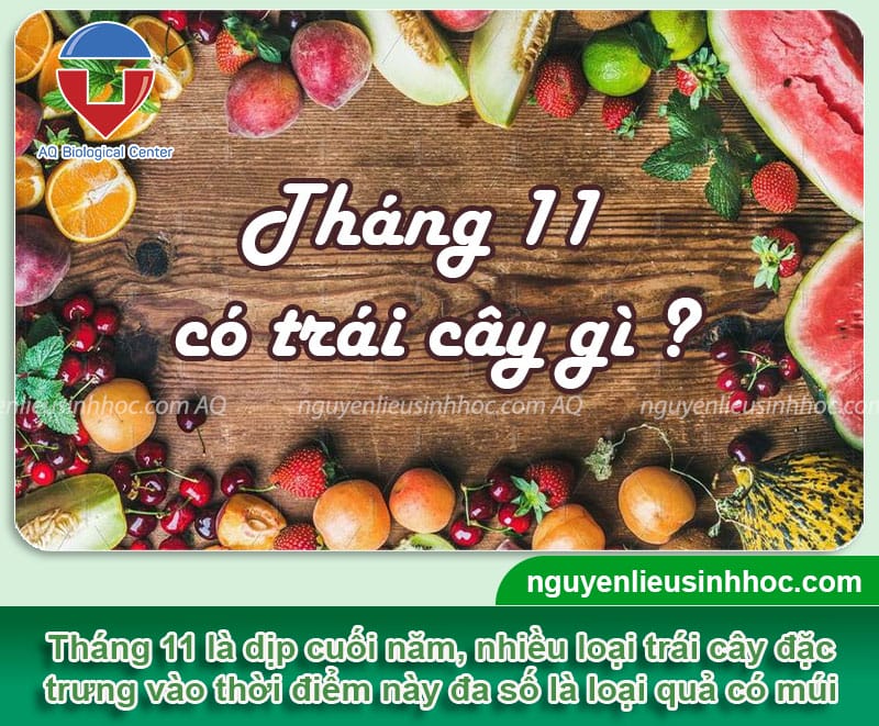 Tháng 11 là mùa trái cây gì? Gallery 1