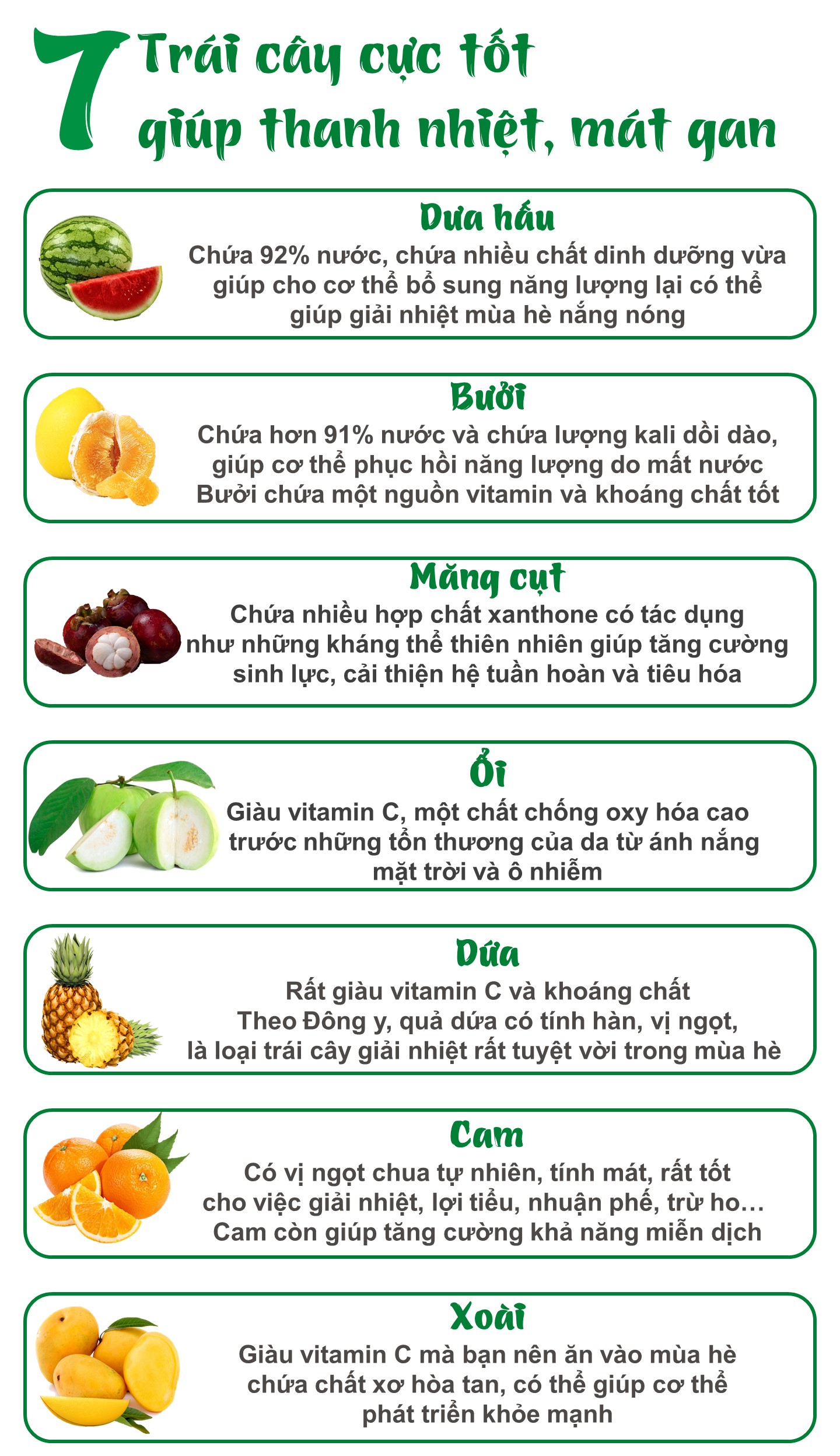 Trái cây mát gan: Những lựa chọn tốt nhất cho sức khỏe của bạn Gallery 1