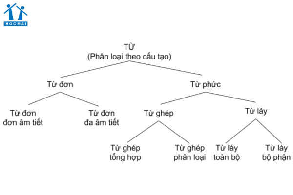 Ngữ Pháp Lớp 6: Tổng hợp kiến thức cơ bản Gallery 1