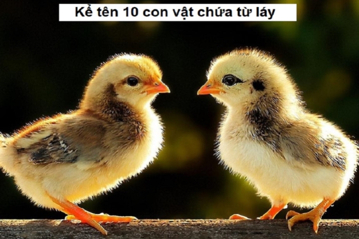 Các Con Vật Có Từ Láy trong Tiếng Việt Gallery 1