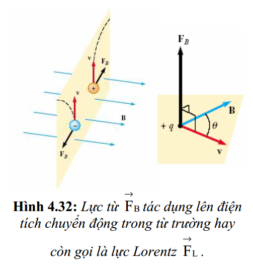Vật liệu từ khi đặt trong từ trường sẽ như thế nào? Gallery 1