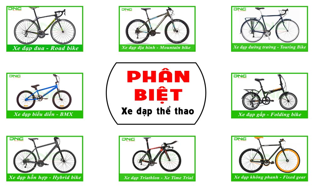 Giới thiệu về Xe Đạp: Loại phương tiện di chuyển thân thiện với môi trường và sức khỏe Gallery 1