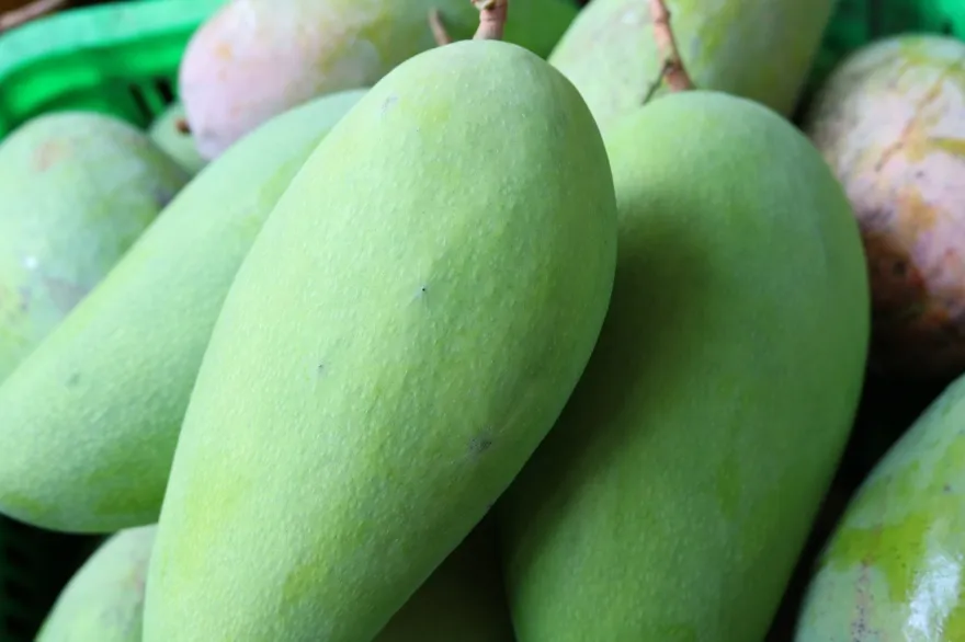 Các Loại Xoài Chua