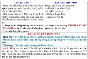 Viết Bài Văn Trình Bày: Hướng Dẫn Chi Tiết và Ví Dụ Gallery 2