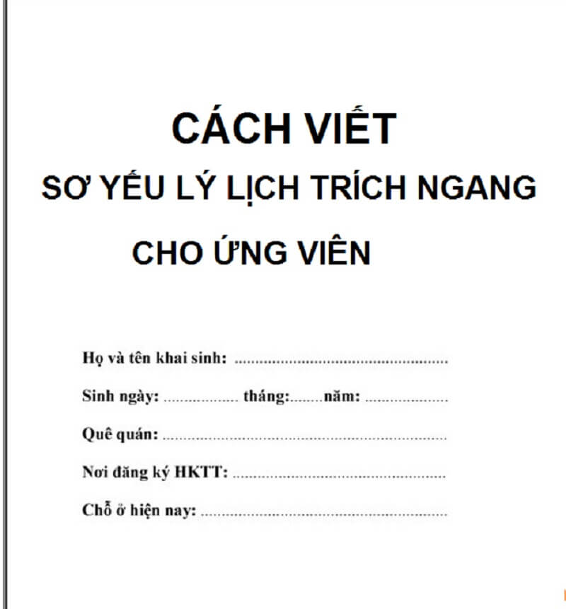 Mẫu Trích Ngang Lý Lịch Chuẩn SEO Gallery 2
