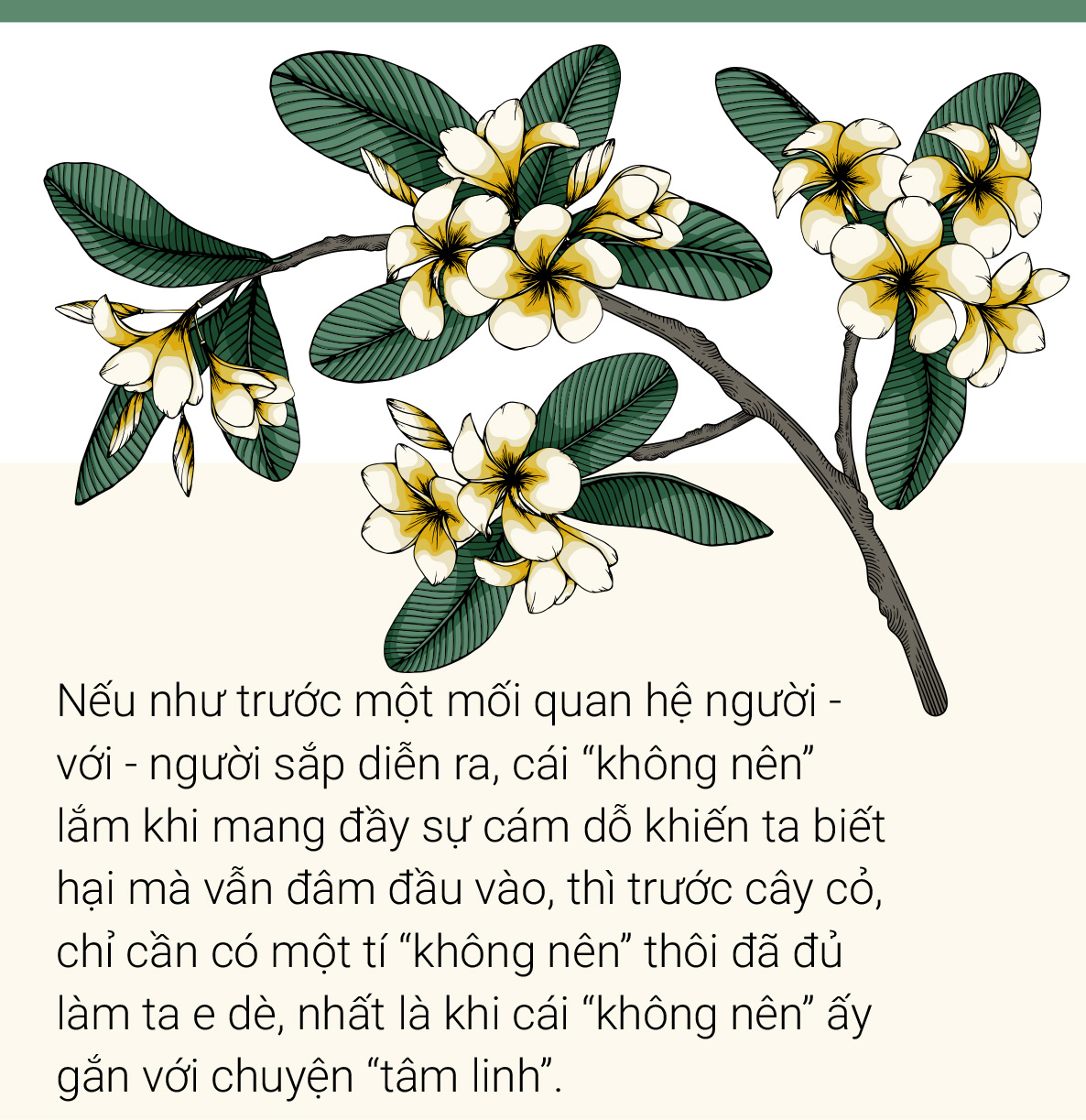 Sa Hoa Là Gì? Khám Phá Thế Giới Của Sự Sang Trọng Gallery 1