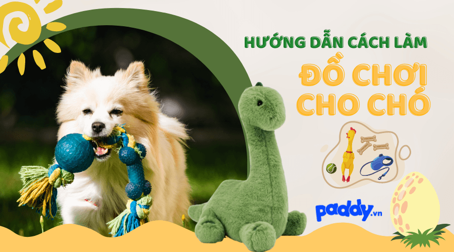 Cách Làm Đồ Chơi Cho Chó: Hướng Dẫn Chi Tiết, An Toàn và Tiết Kiệm Gallery 2