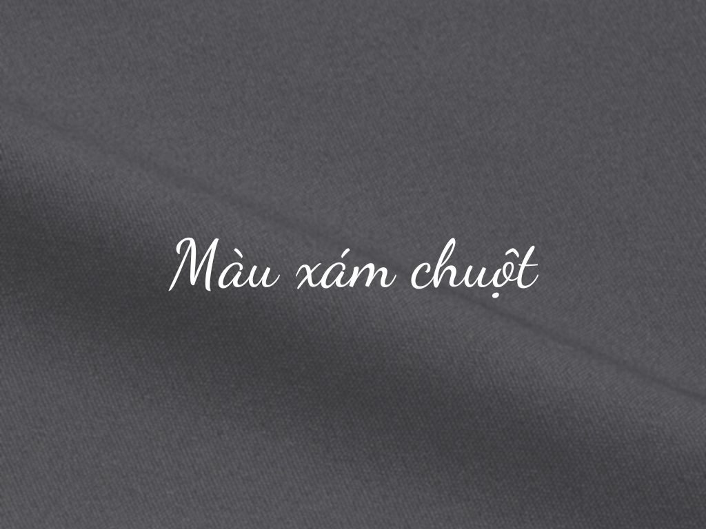 Màu lông chuột là màu gì? Gallery 1