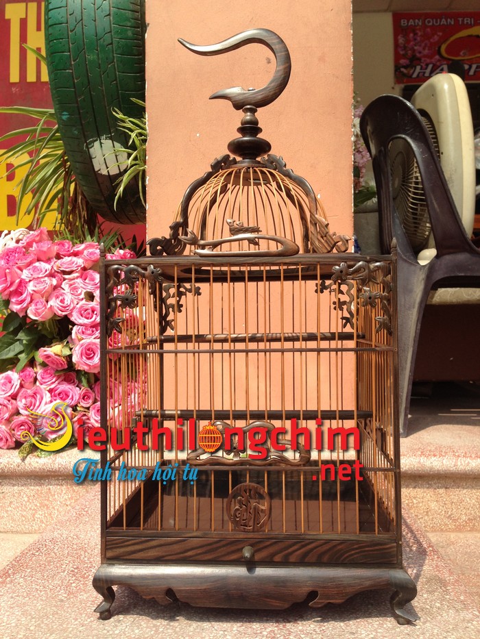 Lông Khuyên Vuông Đẹp Gallery 1