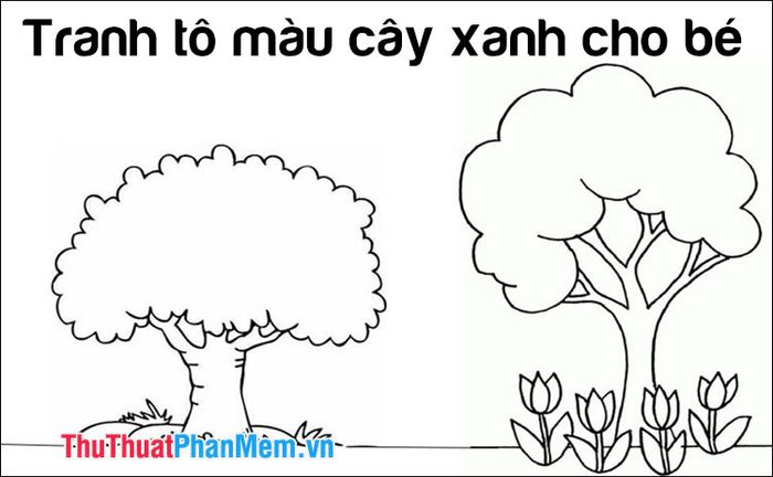 Tô Màu Cái Cây Gallery 1