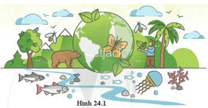 Thế giới động vật siêu thú vị Gallery 2