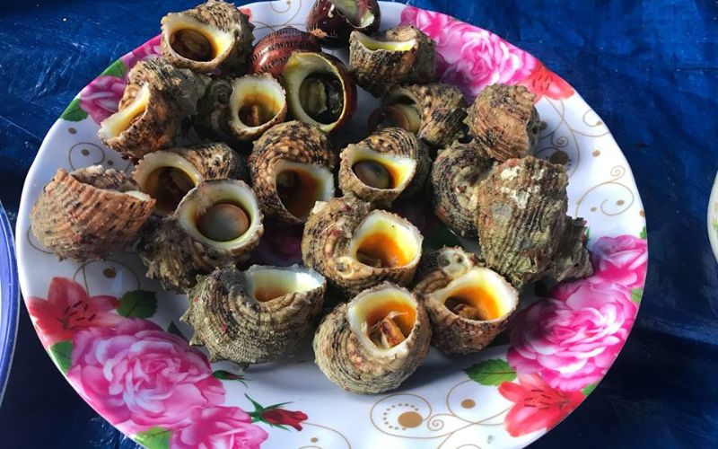 Ốc Mặt Trăng Làm Gì Ngon? Gallery 1