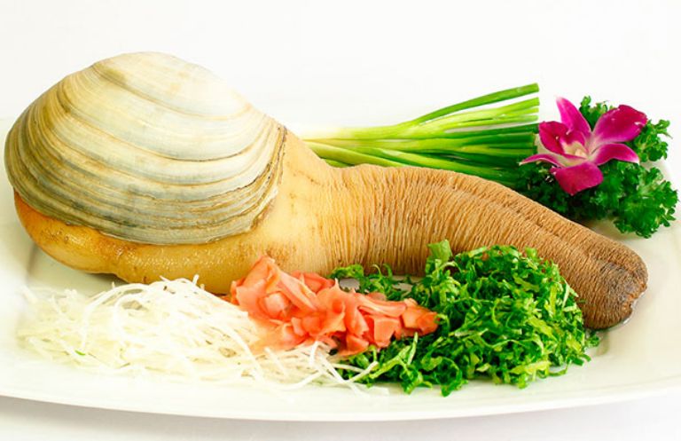 Cách Chế Biến Ốc Vòi Voi Ngon Tuyệt Đỉnh Gallery 2